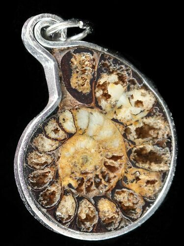 Moroccan Ammonite Fossil Pendant #58381